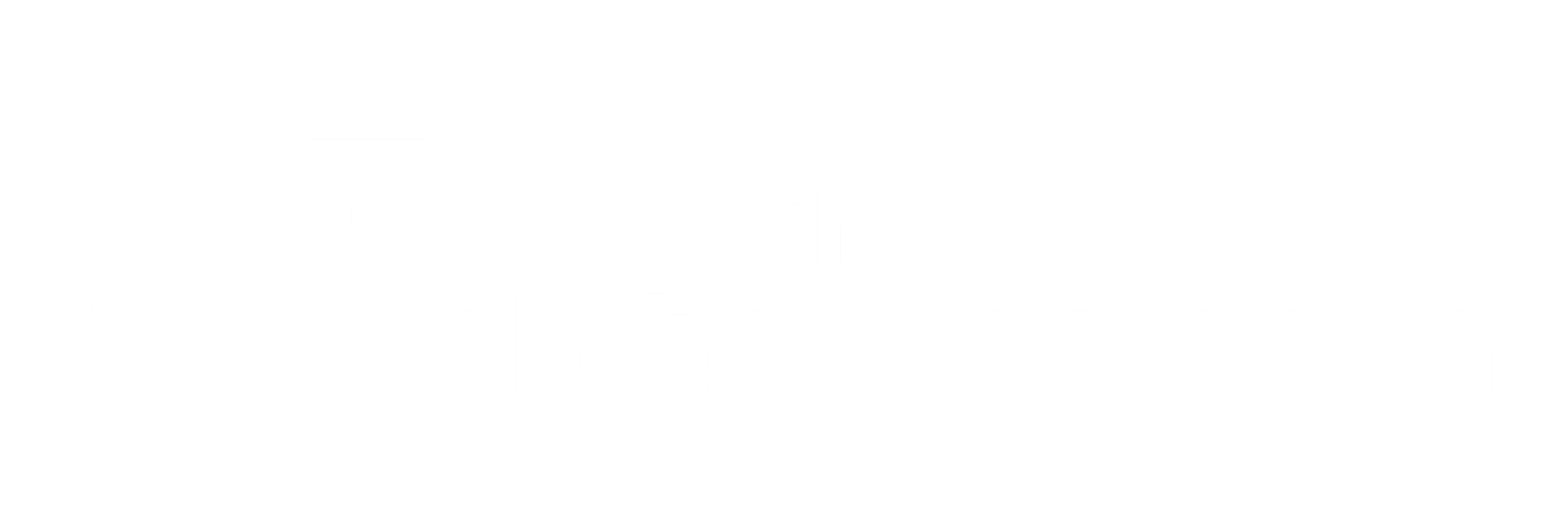 electricdirtbikes.com